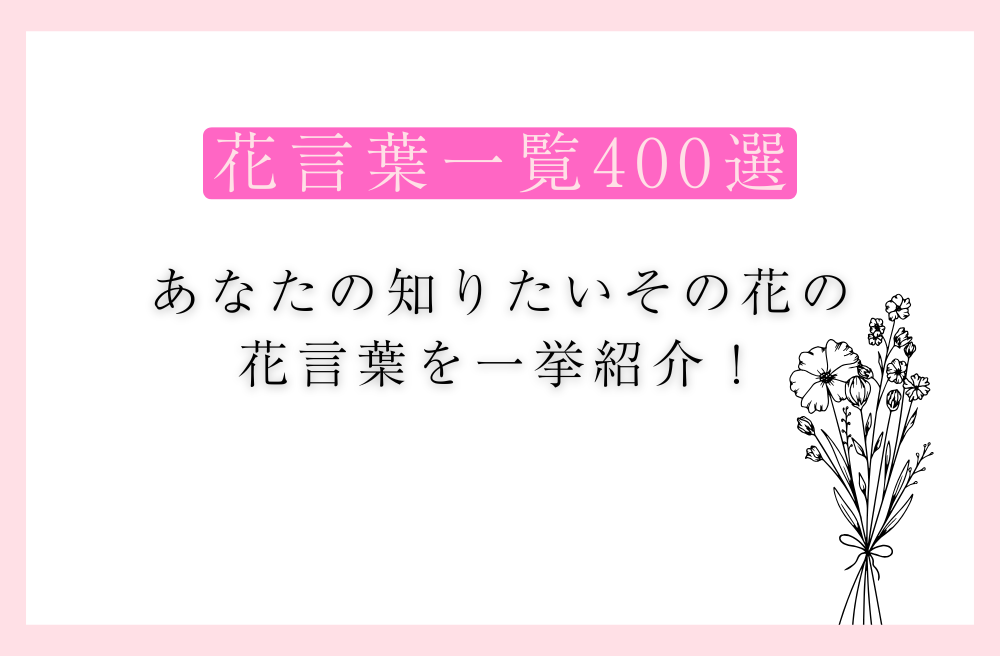 花言葉一覧400選。あなたの知りたいその花の花言葉を一挙紹介！